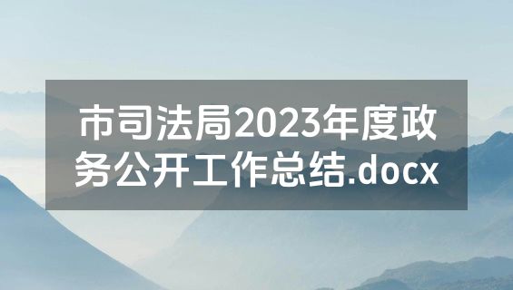 市司法局2023年度政务公开工作总结.docx