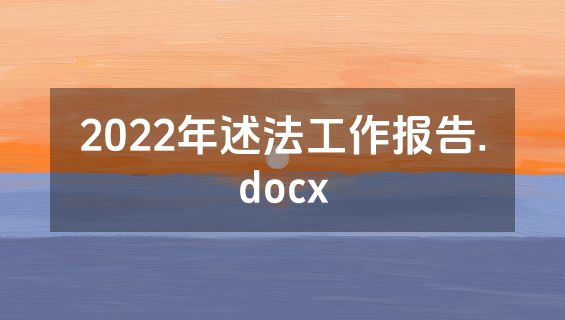 2022年述法工作报告.docx