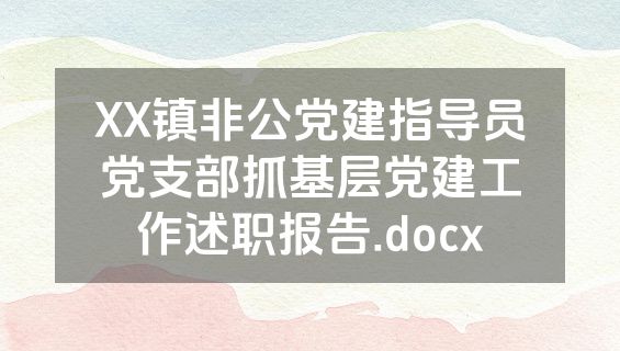 XX镇非公党建指导员党支部抓基层党建工作述职报告.docx