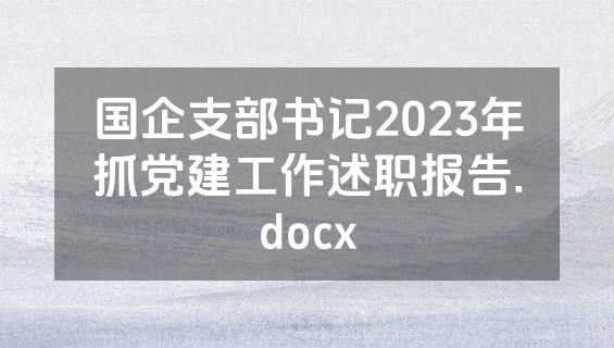 国企支部书记2023年抓党建工作述职报告.docx