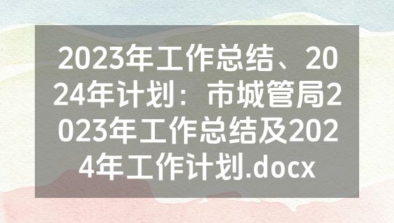 2023年工作总结、2024年计划：市城管局2023年工作总结及2024年工作计划.docx