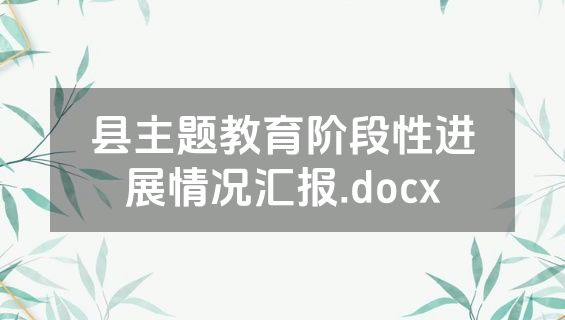 县主题教育阶段性进展情况汇报.docx