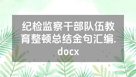 纪检监察干部队伍教育整顿总结金句汇编.docx