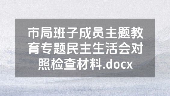 市局班子成员主题教育专题民主生活会对照检查材料.docx