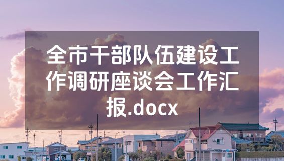 全市干部队伍建设工作调研座谈会工作汇报.docx