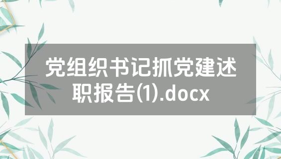 党组织书记抓党建述职报告(1).docx