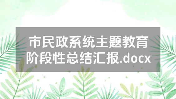 市民政系统主题教育阶段性总结汇报.docx