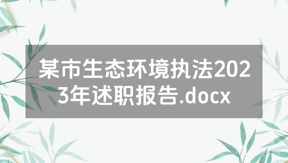 某市生态环境执法2023年述职报告.docx