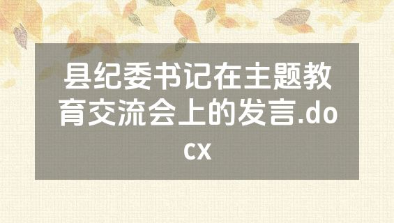 县纪委书记在主题教育交流会上的发言.docx