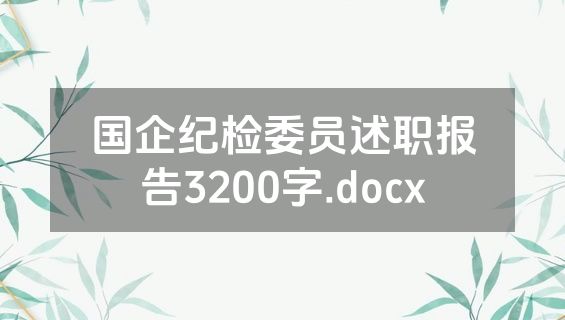 国企纪检委员述职报告3200字.docx