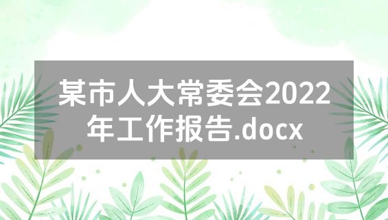 某市人大常委会2022年工作报告.docx