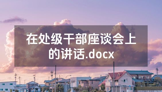 在处级干部座谈会上的讲话.docx