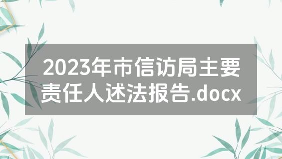 2023年市信访局主要责任人述法报告.docx