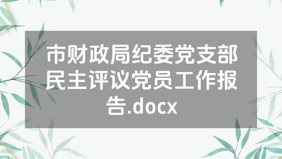 市财政局纪委党支部民主评议党员工作报告.docx