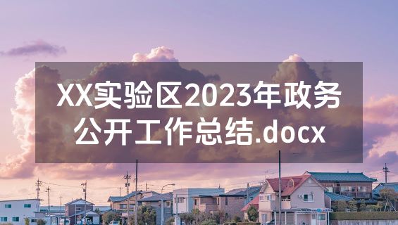 XX实验区2023年政务公开工作总结.docx