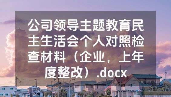 公司领导主题教育民主生活会个人对照检查材料（企业，上年度整改）.docx