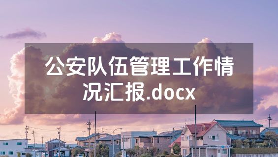 公安队伍管理工作情况汇报.docx