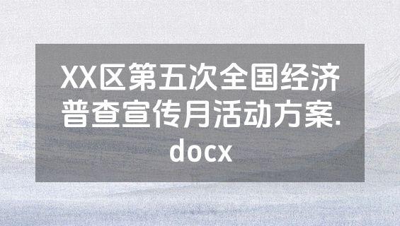 XX区第五次全国经济普查宣传月活动方案.docx
