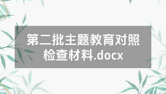 第二批主题教育对照检查材料.docx