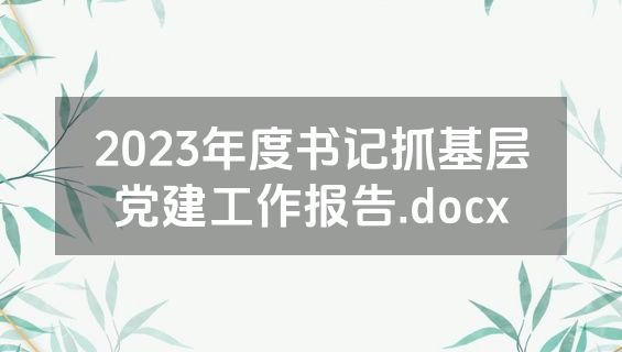 2023年度书记抓基层党建工作报告.docx
