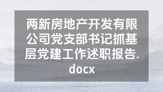 两新房地产开发有限公司党支部书记抓基层党建工作述职报告.docx