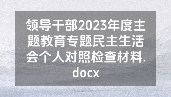 领导干部2023年度主题教育专题民主生活会个人对照检查材料.docx