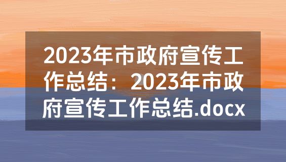 2023年市政府宣传工作总结：2023年市政府宣传工作总结.docx