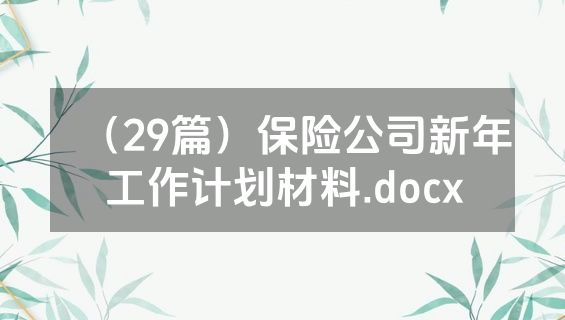 （29篇）保险公司新年工作计划材料.docx