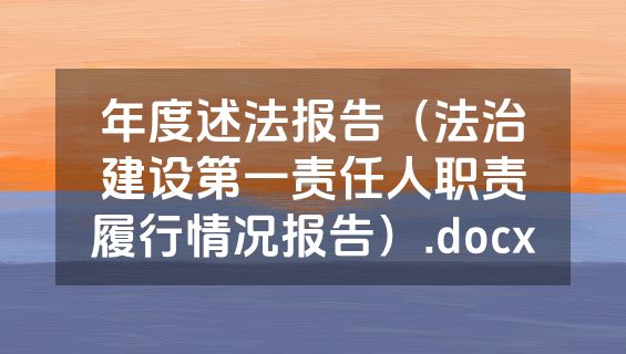 年度述法报告（法治建设第一责任人职责履行情况报告）.docx