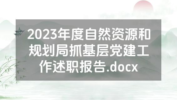 2023年度自然资源和规划局抓基层党建工作述职报告.docx