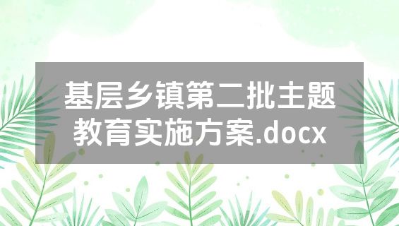 基层乡镇第二批主题教育实施方案.docx