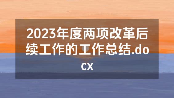 2023年度两项改革后续工作的工作总结.docx