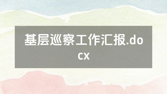 基层巡察工作汇报.docx