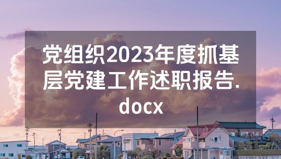 党组织2023年度抓基层党建工作述职报告.docx