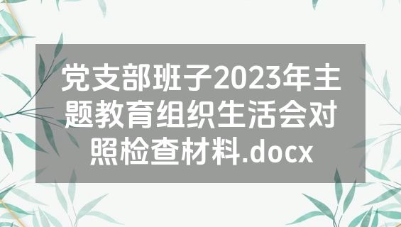党支部班子2023年主题教育组织生活会对照检查材料.docx