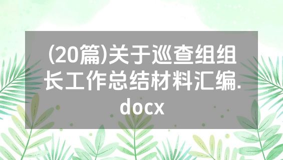 (20篇)关于巡查组组长工作总结材料汇编.docx