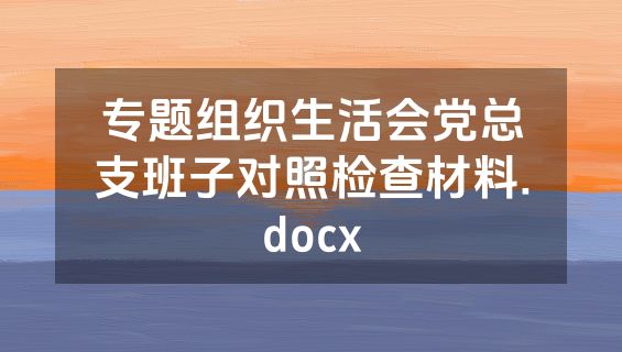 专题组织生活会党总支班子对照检查材料.docx