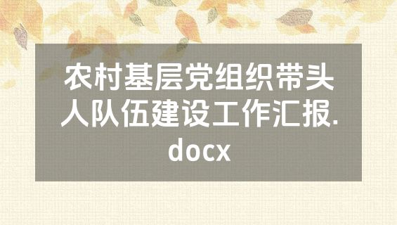 农村基层党组织带头人队伍建设工作汇报.docx