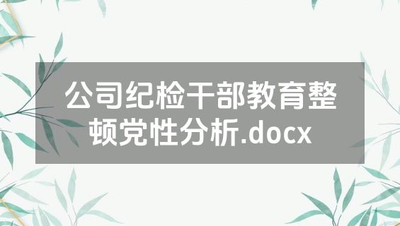 公司纪检干部教育整顿党性分析.docx