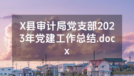 X县审计局党支部2023年党建工作总结.docx