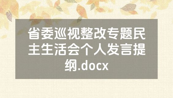 省委巡视整改专题民主生活会个人发言提纲.docx