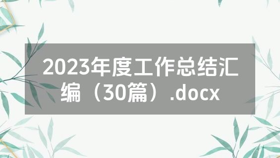 2023年度工作总结汇编（30篇）.docx