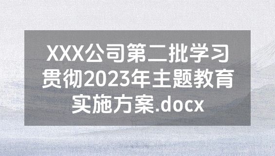 XXX公司第二批学习贯彻2023年主题教育实施方案.docx