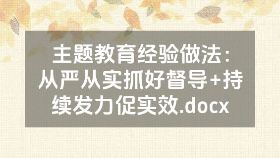 主题教育经验做法：从严从实抓好督导+持续发力促实效.docx