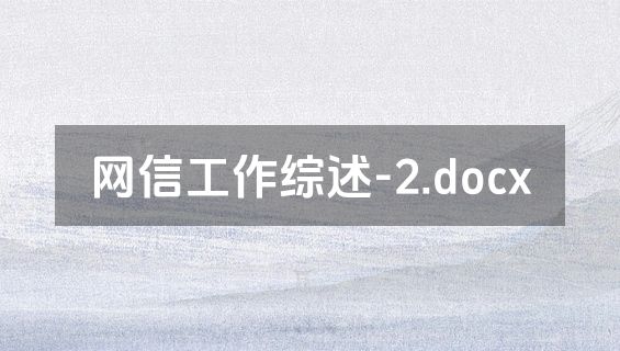 网信工作综述-2.docx