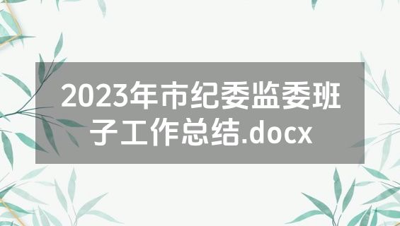 2023年市纪委监委班子工作总结.docx