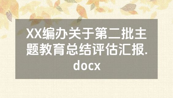 XX编办关于第二批主题教育总结评估汇报.docx