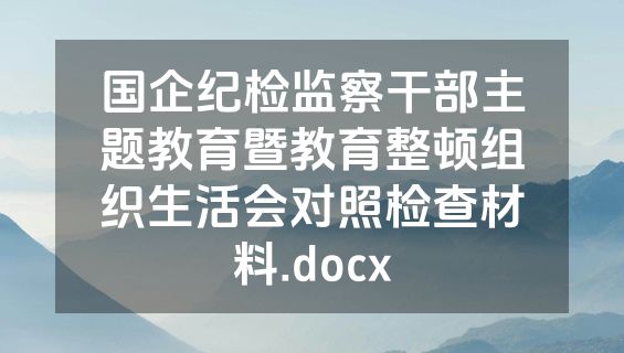 国企纪检监察干部主题教育暨教育整顿组织生活会对照检查材料.docx