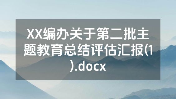 XX编办关于第二批主题教育总结评估汇报(1).docx