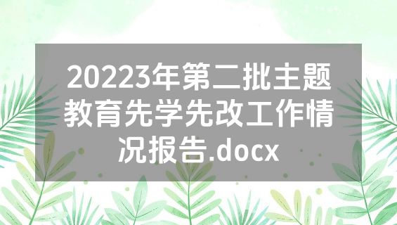 20223年第二批主题教育先学先改工作情况报告.docx
